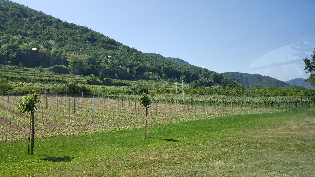 Gasthof Zur Wachau Hofarnsdorf Bagian luar foto